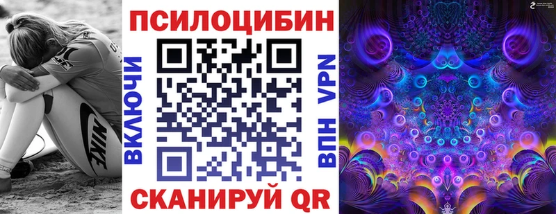 Купить закладки  Красный Сулин  Галлюциногенные грибы GOLDEN TEACHER 